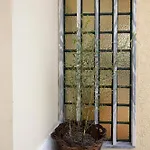 Casa Da Vigia - Santa Cruz - Casa Com Jardim A 4 Min Da