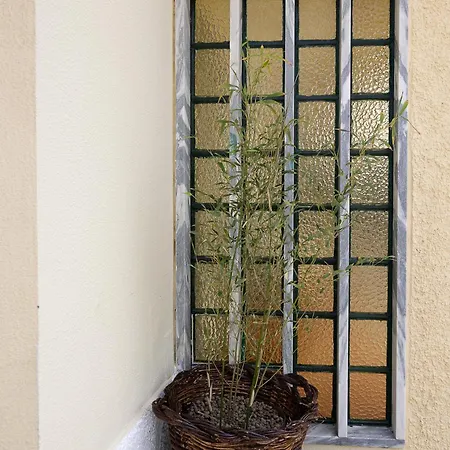 Casa Da Vigia - Santa Cruz - Casa Com Jardim A 4 Min Da